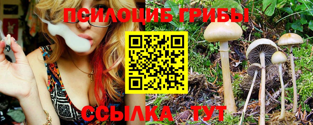 Южно-Сахалинск  Галлюциногенные грибы ЛСД  Псилоцибиновые грибы мухоморы  Вход с VPN 